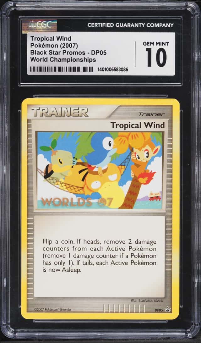 Tropical Wind