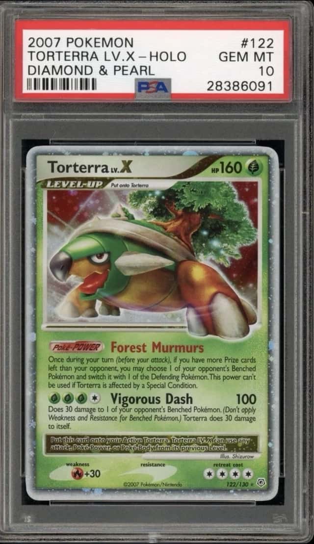 TORTERRA LV.X