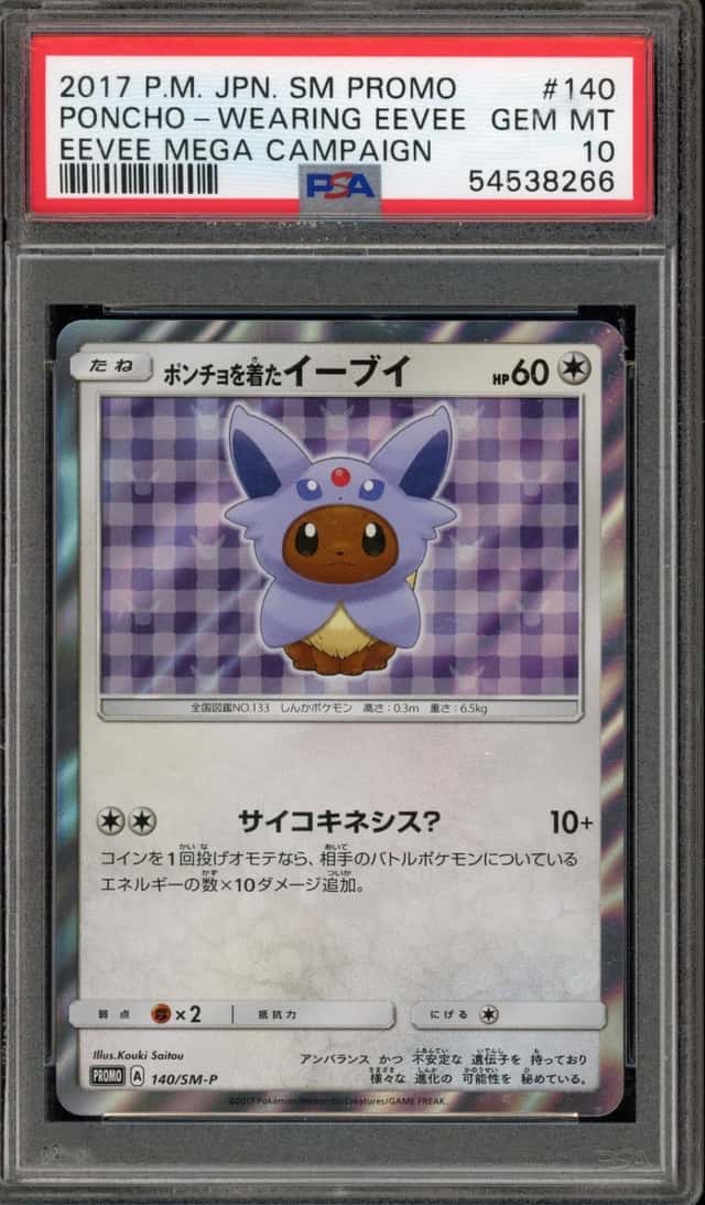 Poncho-Wearing Eevee