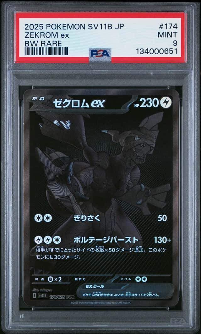 ZEKROM ex