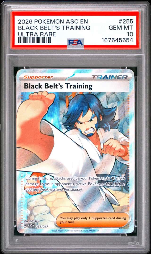 Black Belt's Training