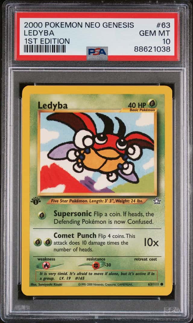 Ledyba