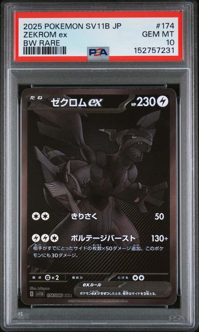 ZEKROM ex