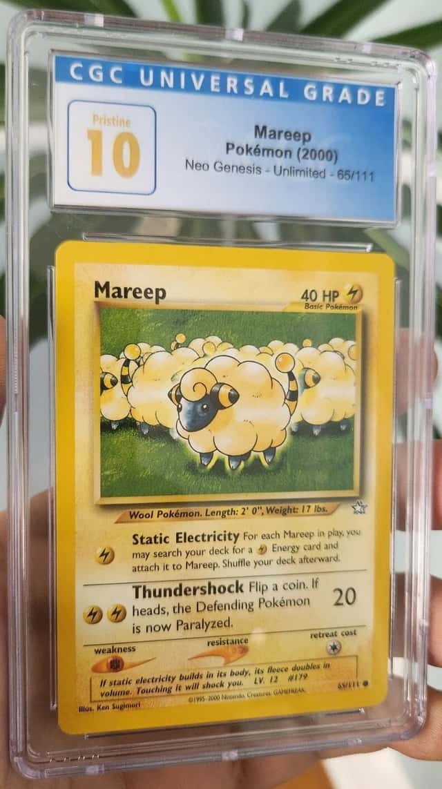 Mareep