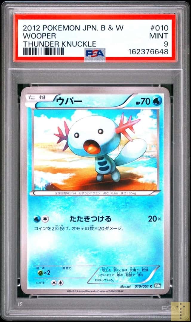 Wooper