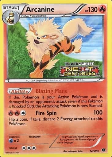 Holo · Prerelease