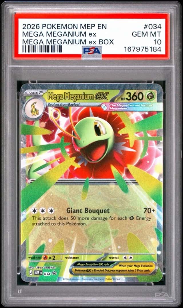 MEGA MEGANIUM ex