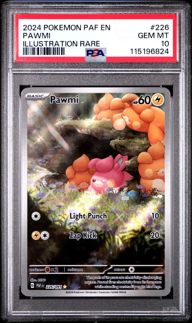Pawmi