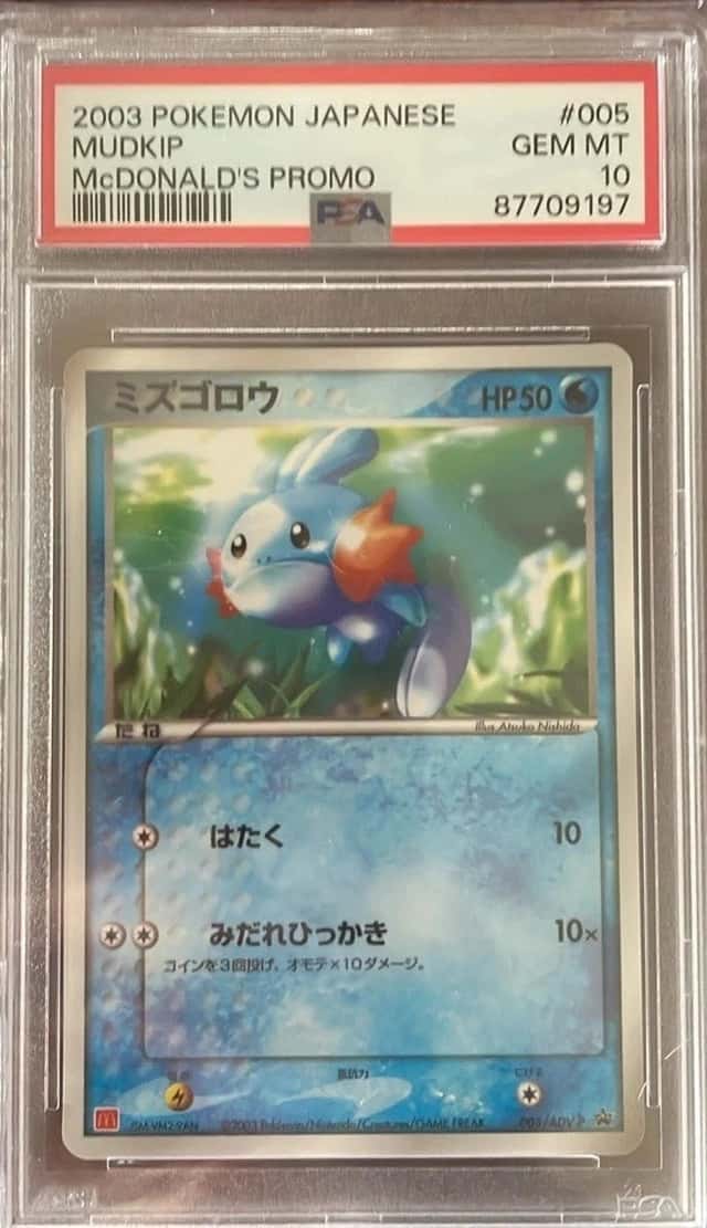 Mudkip