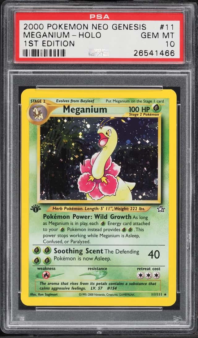 Meganium