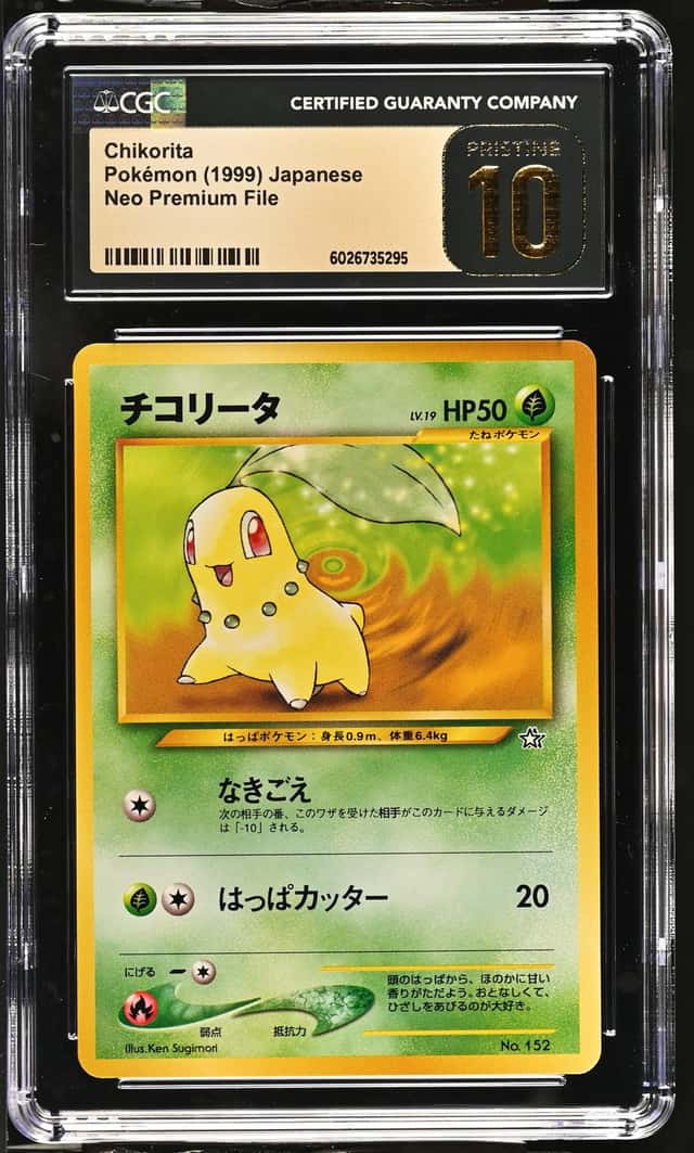 Chikorita