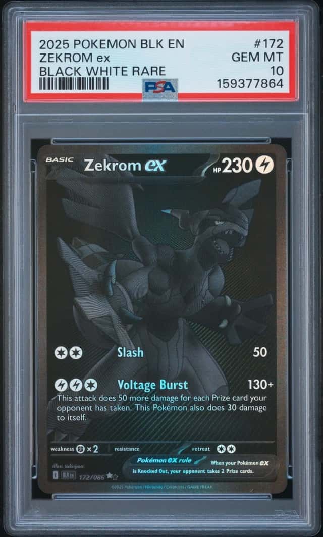 ZEKROM ex