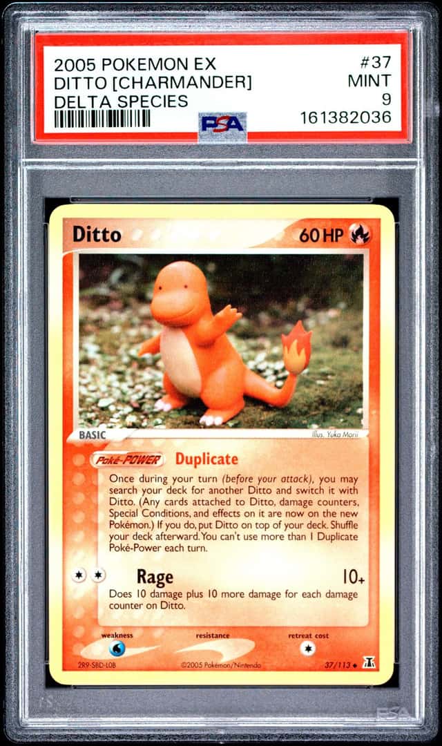 Ditto [Charmander]