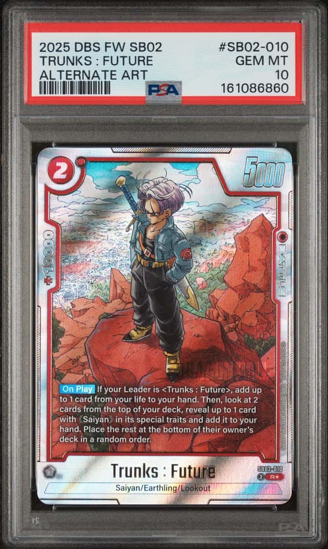 Trunks : Future