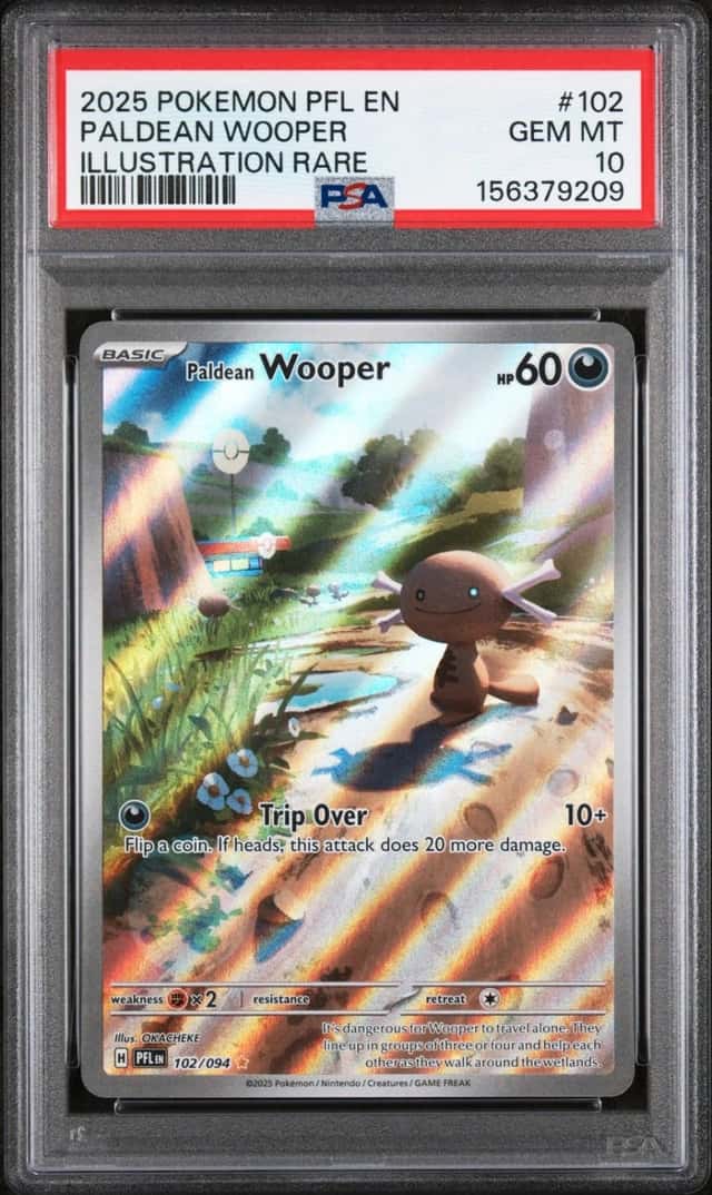 Paldean Wooper