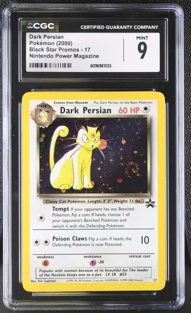 Dark Persian