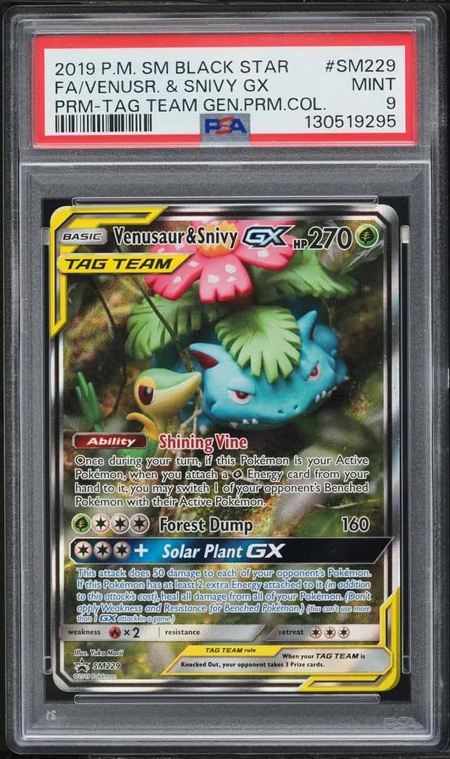Venusaur & Snivy GX