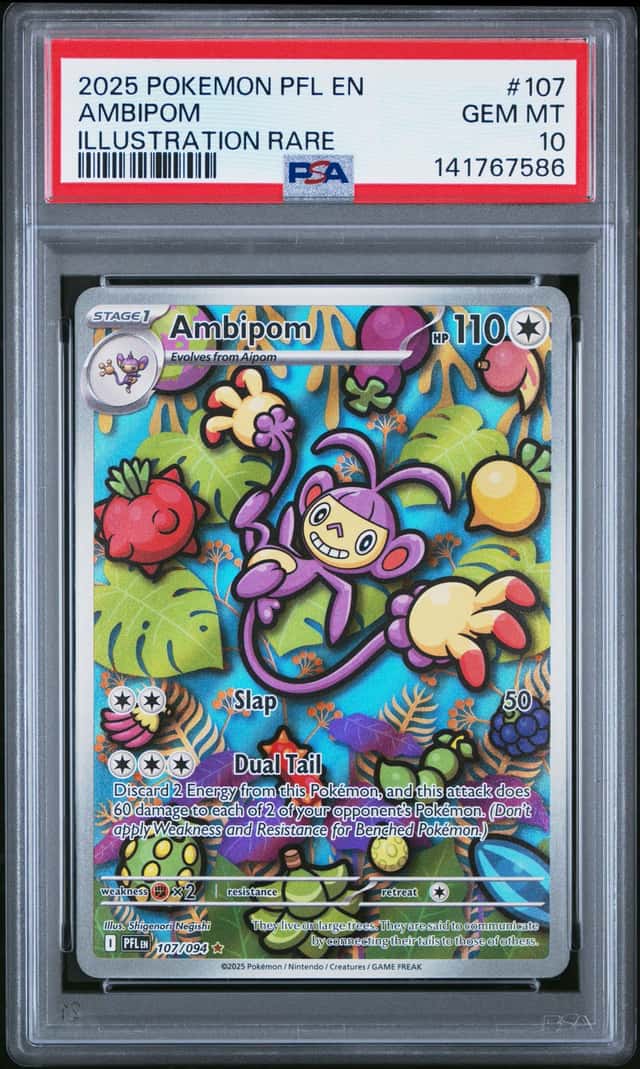 Ambipom