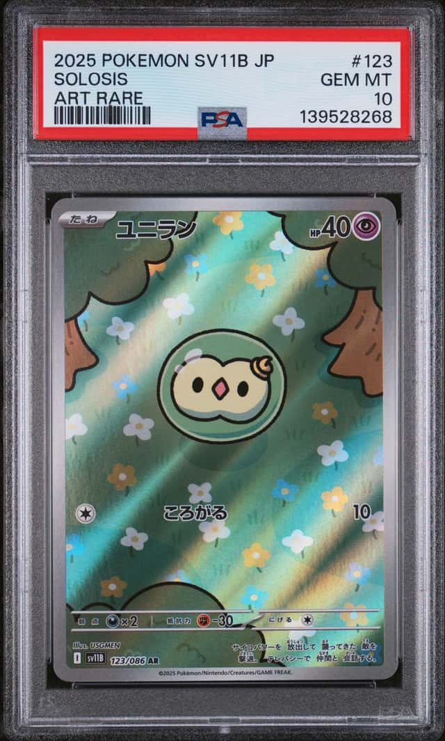 Solosis