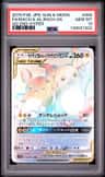 Raichu & Alolan Raichu Gx