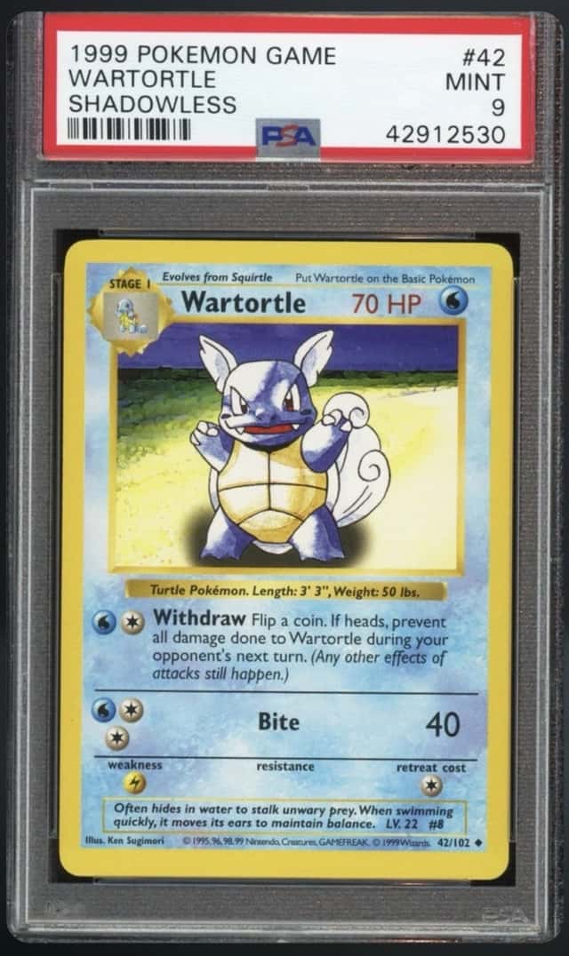Wartortle