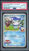 Piplup M