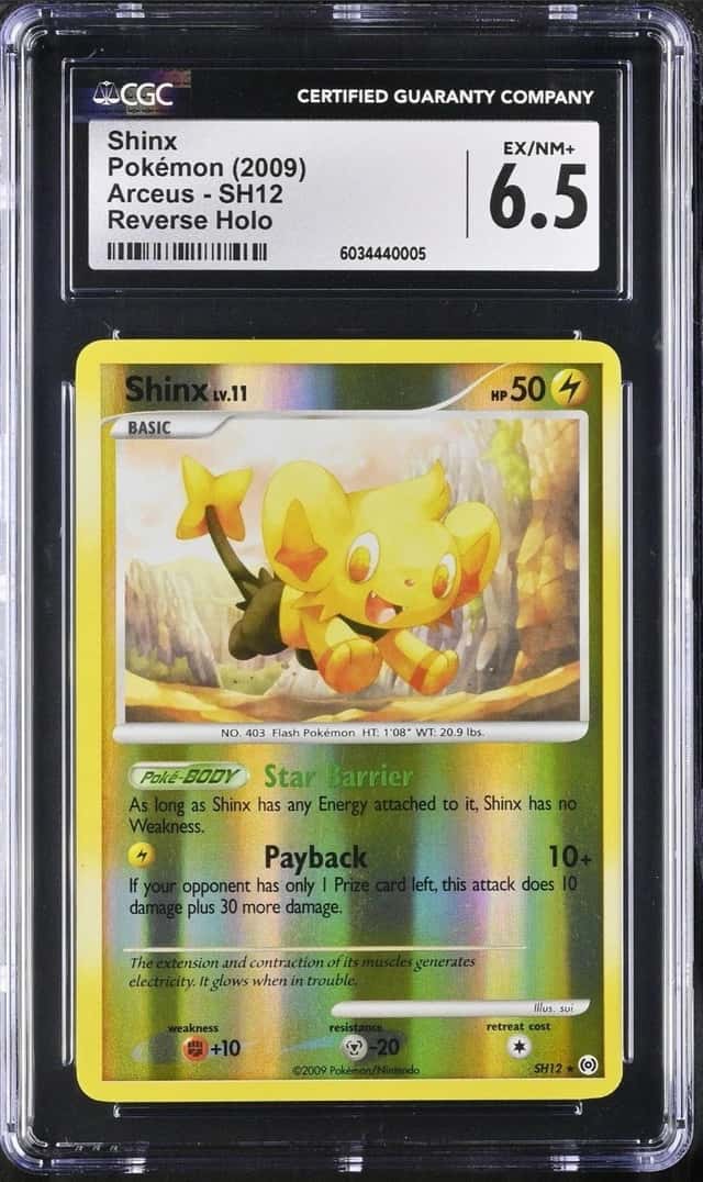 Shinx