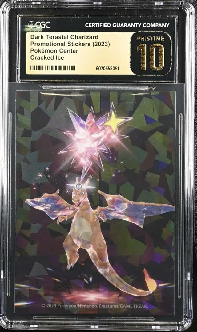 Dark Terastal Charizard
