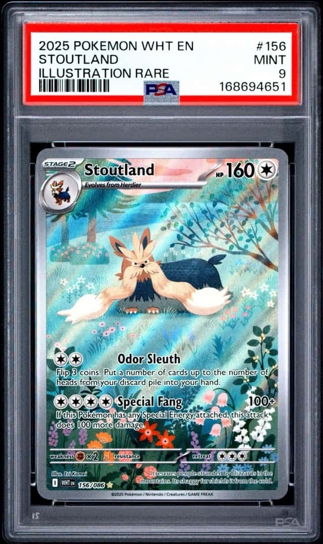 Stoutland