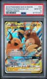Raichu & Alolan Raichu Gx