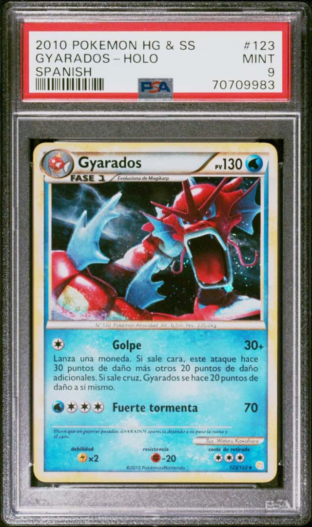 Gyarados