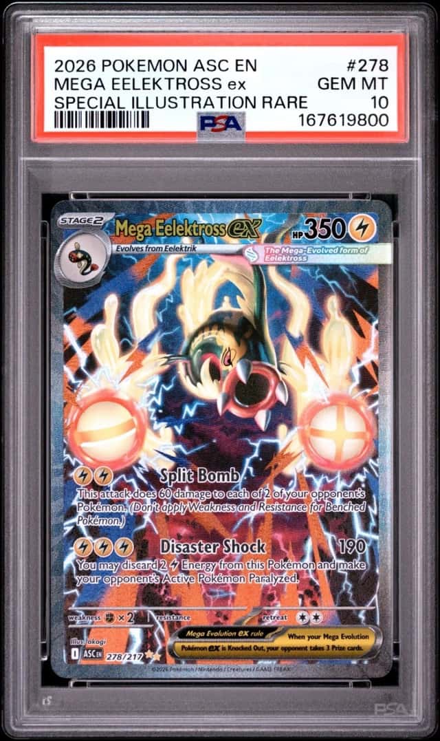 MEGA EELEKTROSS ex