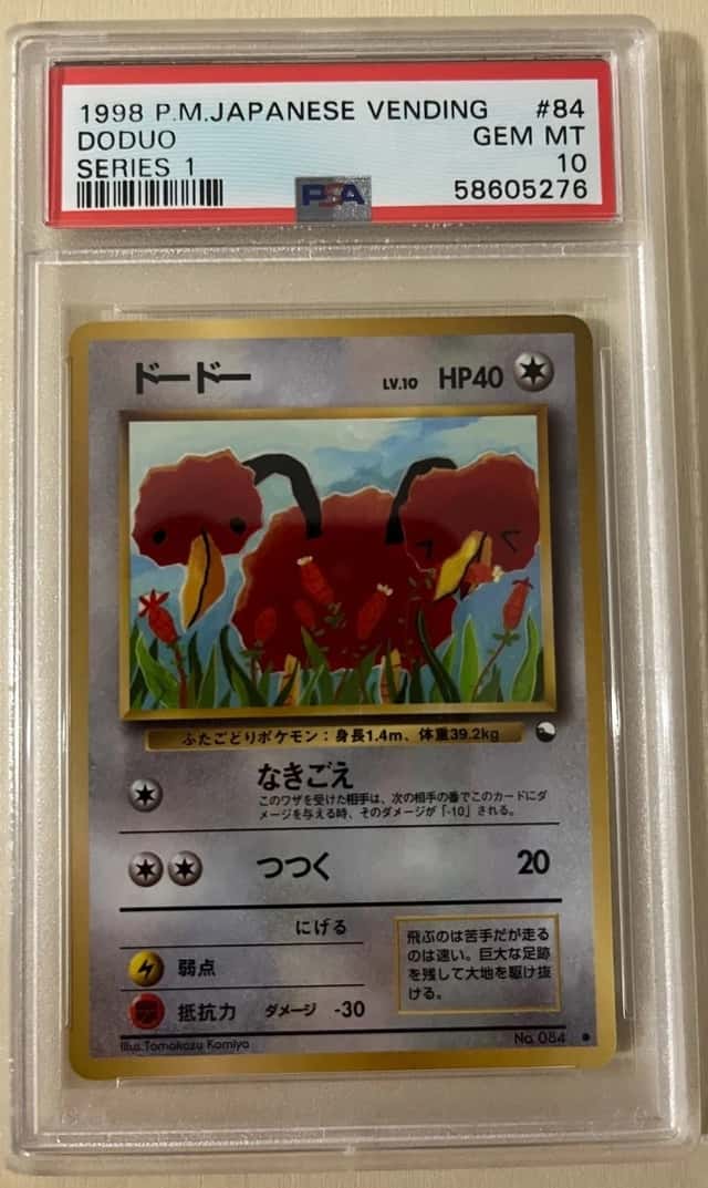 Doduo