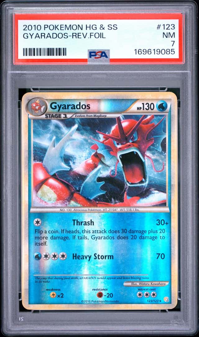 Gyarados