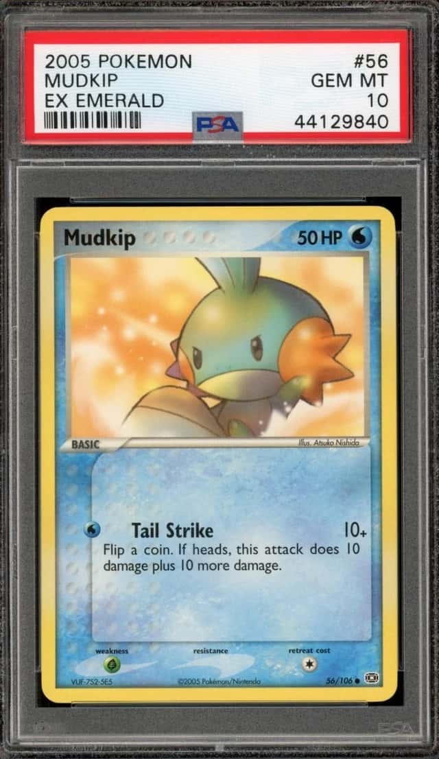 Mudkip