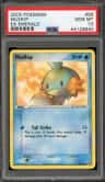 Mudkip