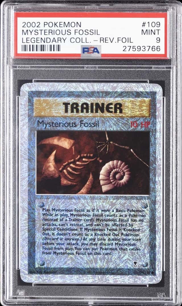 Mysterious Fossil