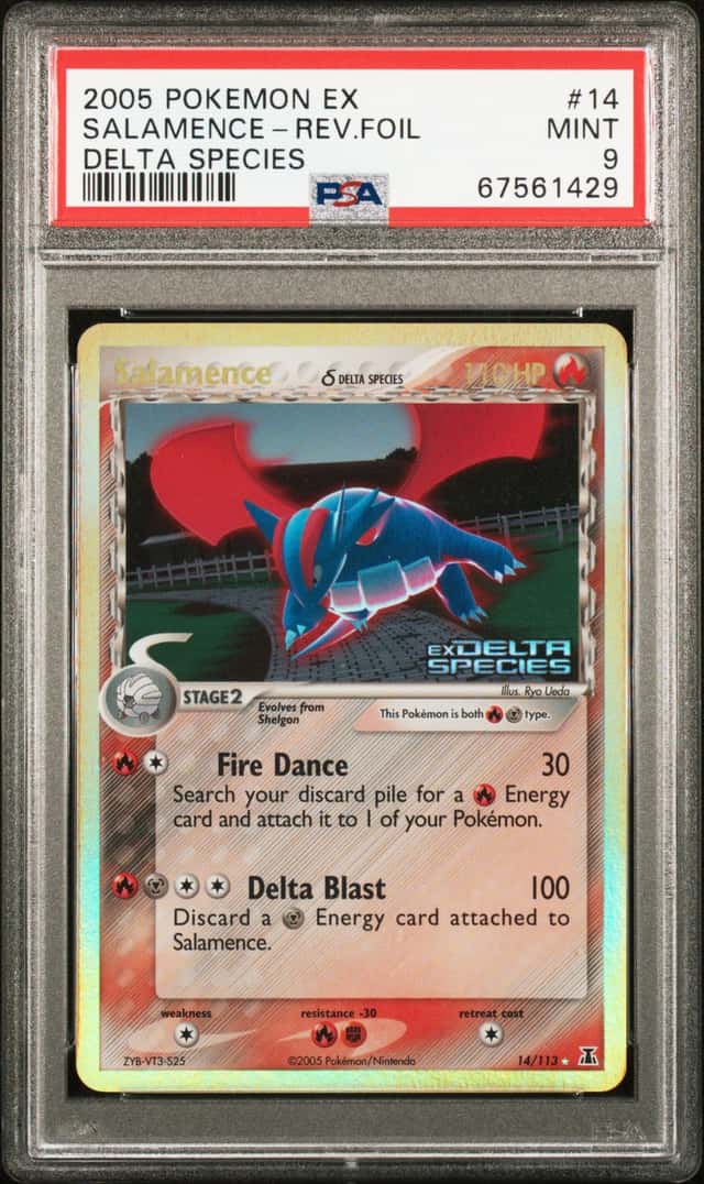 Salamence