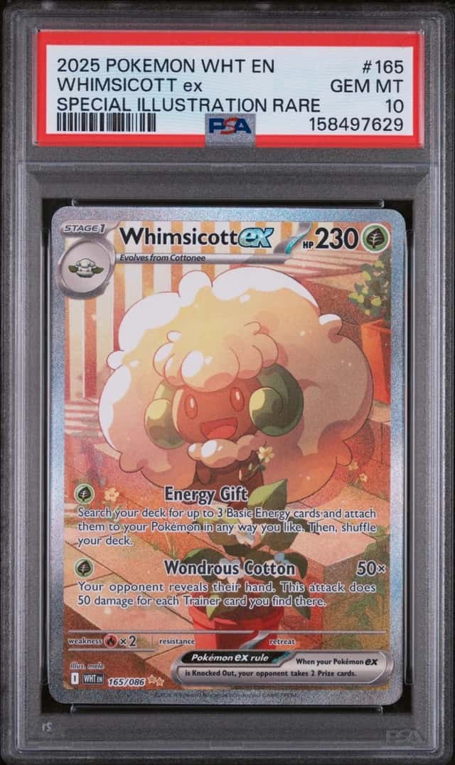 WHIMSICOTT ex