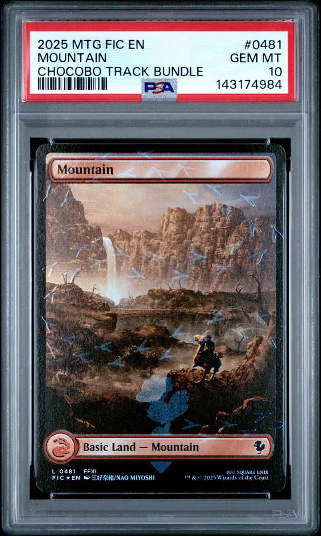 Mountain