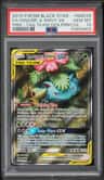 Venusaur & Snivy Gx