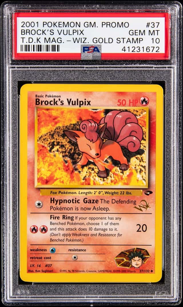 Brock's Vulpix
