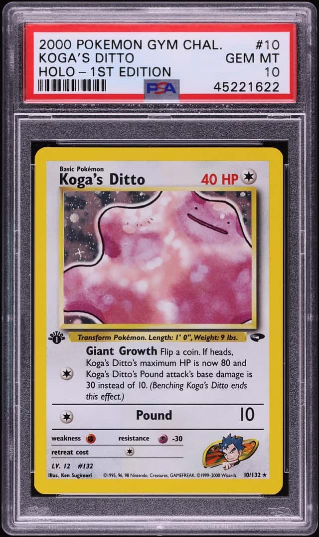 Koga's Ditto