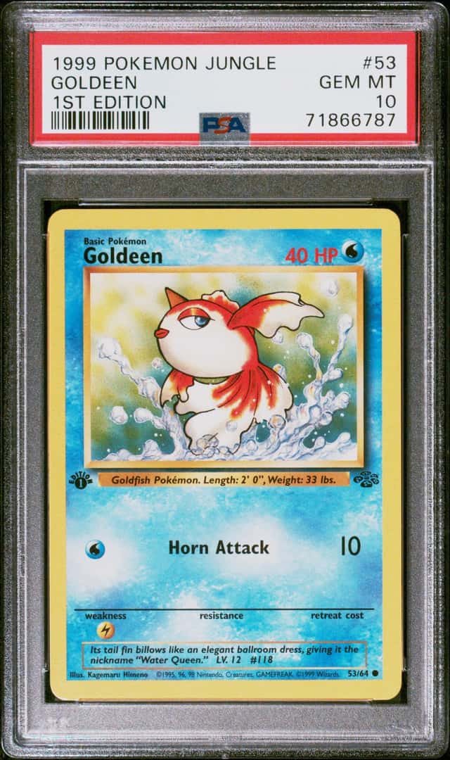 Goldeen