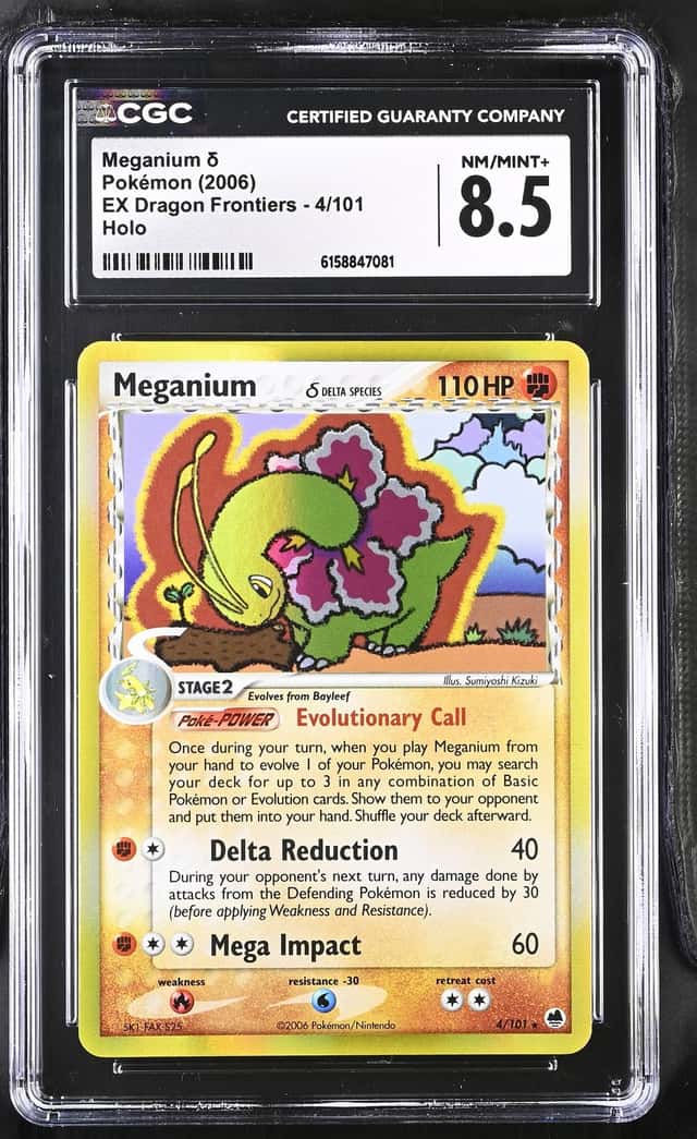 Meganium Δ