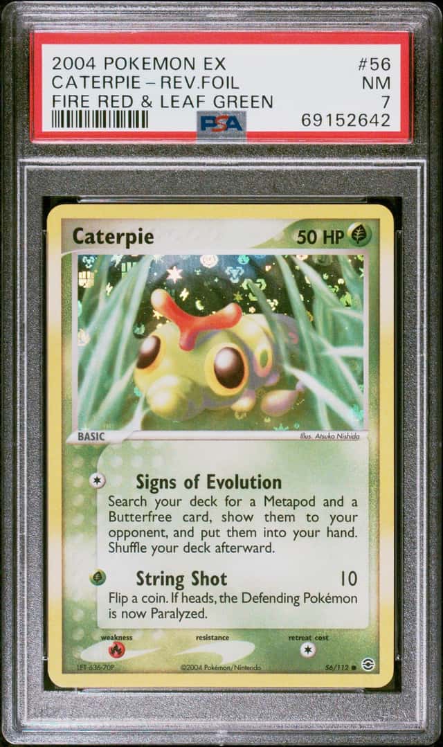 Caterpie