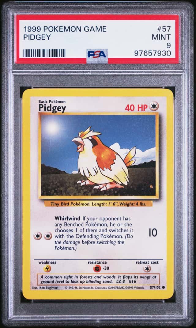 Pidgey