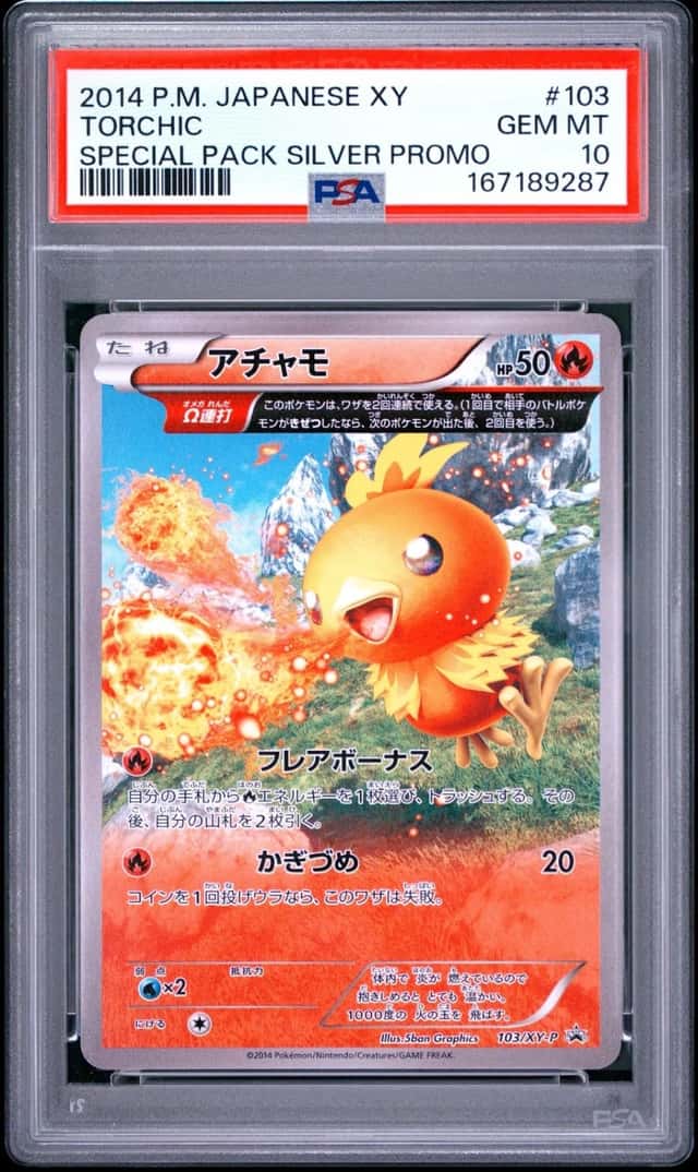 Torchic