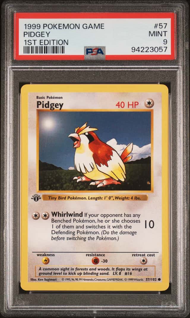 Pidgey