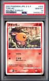 Torchic